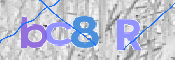 画像に表示された文字を入力して下さい