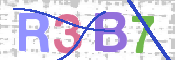 画像に表示された文字を入力して下さい