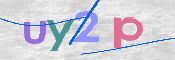 画像に表示された文字を入力して下さい