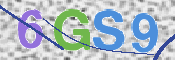 画像に表示された文字を入力して下さい