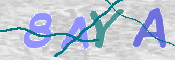 画像に表示された文字を入力して下さい