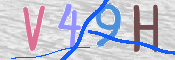 画像に表示された文字を入力して下さい