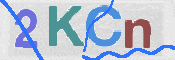 画像に表示された文字を入力して下さい