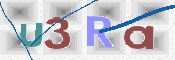 画像に表示された文字を入力して下さい