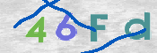 画像に表示された文字を入力して下さい