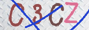 画像に表示された文字を入力して下さい