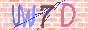 画像に表示された文字を入力して下さい