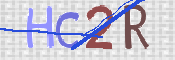 画像に表示された文字を入力して下さい