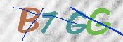 画像に表示された文字を入力して下さい