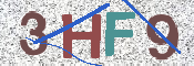 画像に表示された文字を入力して下さい