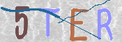 画像に表示された文字を入力して下さい