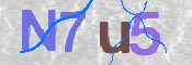 画像に表示された文字を入力して下さい