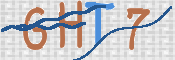 画像に表示された文字を入力して下さい