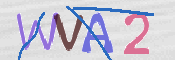 画像に表示された文字を入力して下さい