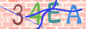 画像に表示された文字を入力して下さい