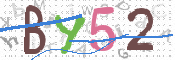 画像に表示された文字を入力して下さい