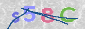 画像に表示された文字を入力して下さい