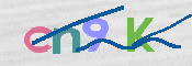 画像に表示された文字を入力して下さい