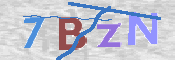 画像に表示された文字を入力して下さい