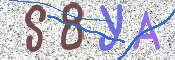 画像に表示された文字を入力して下さい