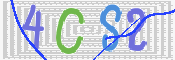 画像に表示された文字を入力して下さい