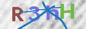 画像に表示された文字を入力して下さい