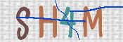 画像に表示された文字を入力して下さい