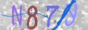 画像に表示された文字を入力して下さい