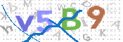 画像に表示された文字を入力して下さい