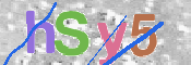 画像に表示された文字を入力して下さい