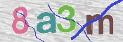 画像に表示された文字を入力して下さい