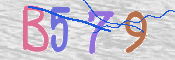画像に表示された文字を入力して下さい
