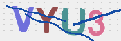 画像に表示された文字を入力して下さい