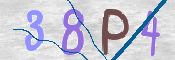 画像に表示された文字を入力して下さい
