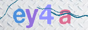 画像に表示された文字を入力して下さい