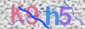 画像に表示された文字を入力して下さい