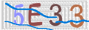 画像に表示された文字を入力して下さい