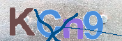 画像に表示された文字を入力して下さい