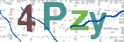 画像に表示された文字を入力して下さい