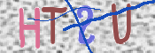 画像に表示された文字を入力して下さい