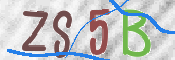 画像に表示された文字を入力して下さい