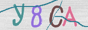 画像に表示された文字を入力して下さい