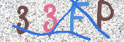画像に表示された文字を入力して下さい