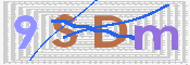 画像に表示された文字を入力して下さい