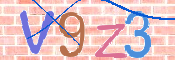 画像に表示された文字を入力して下さい