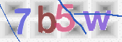 画像に表示された文字を入力して下さい