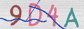 画像に表示された文字を入力して下さい