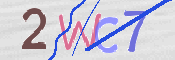 画像に表示された文字を入力して下さい
