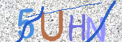 画像に表示された文字を入力して下さい