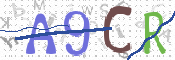 画像に表示された文字を入力して下さい